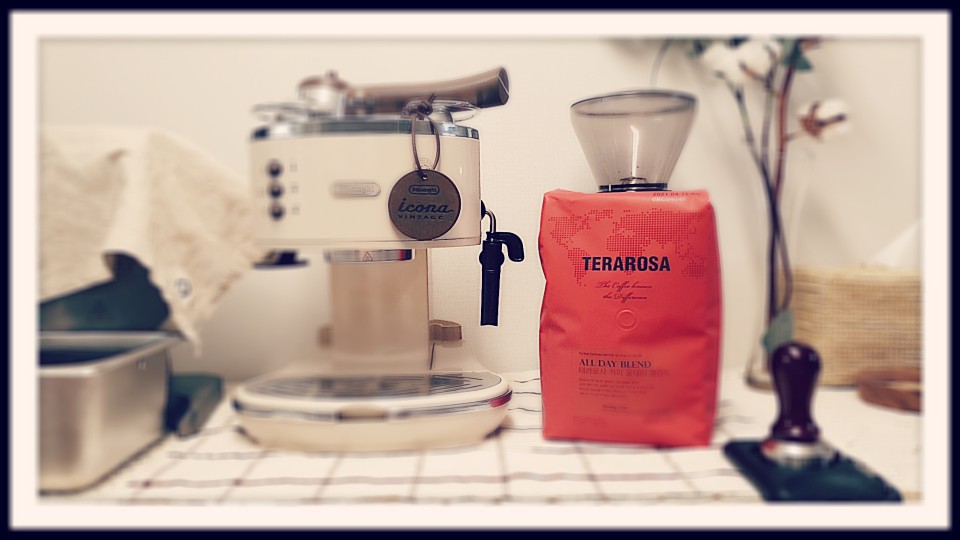 테라로사 올데이블렌드 원두커피 1.13kg 동탄