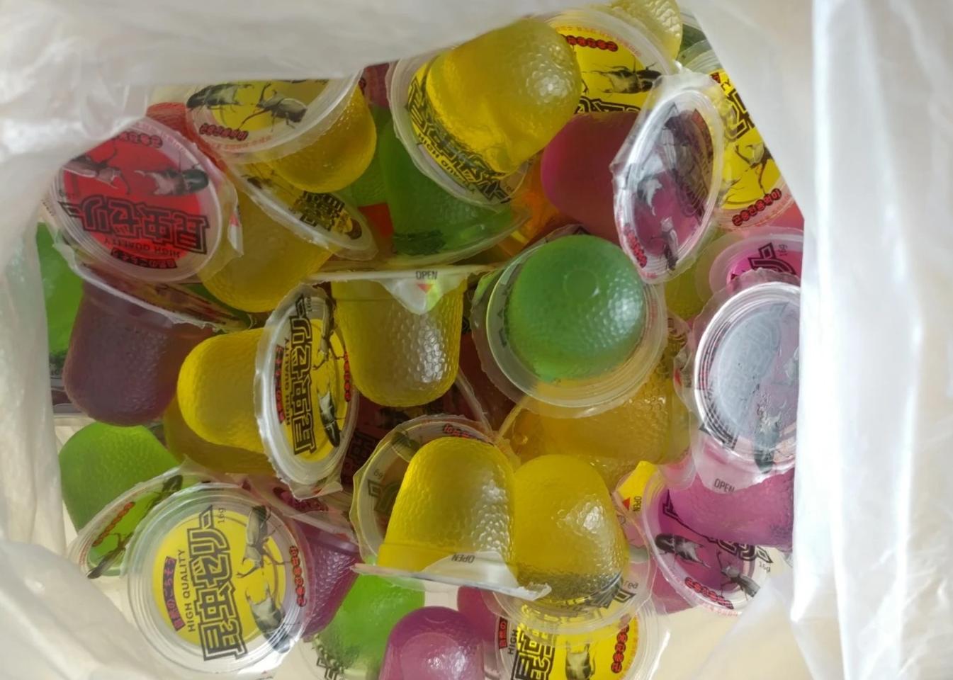 장수풍뎅이, 사슴벌레 젤리먹이