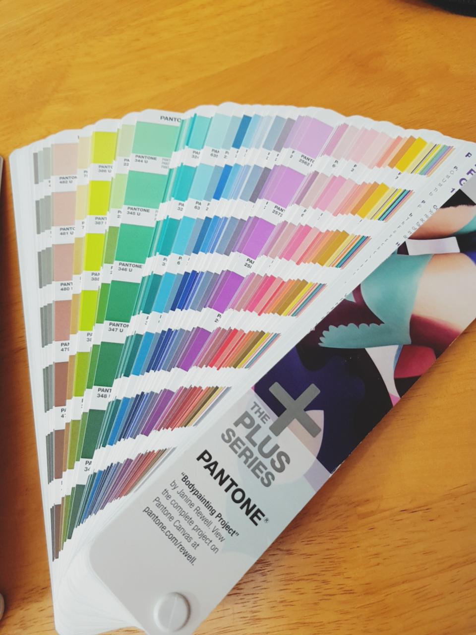 펜톤칼라 칩 팝니다(13만원)