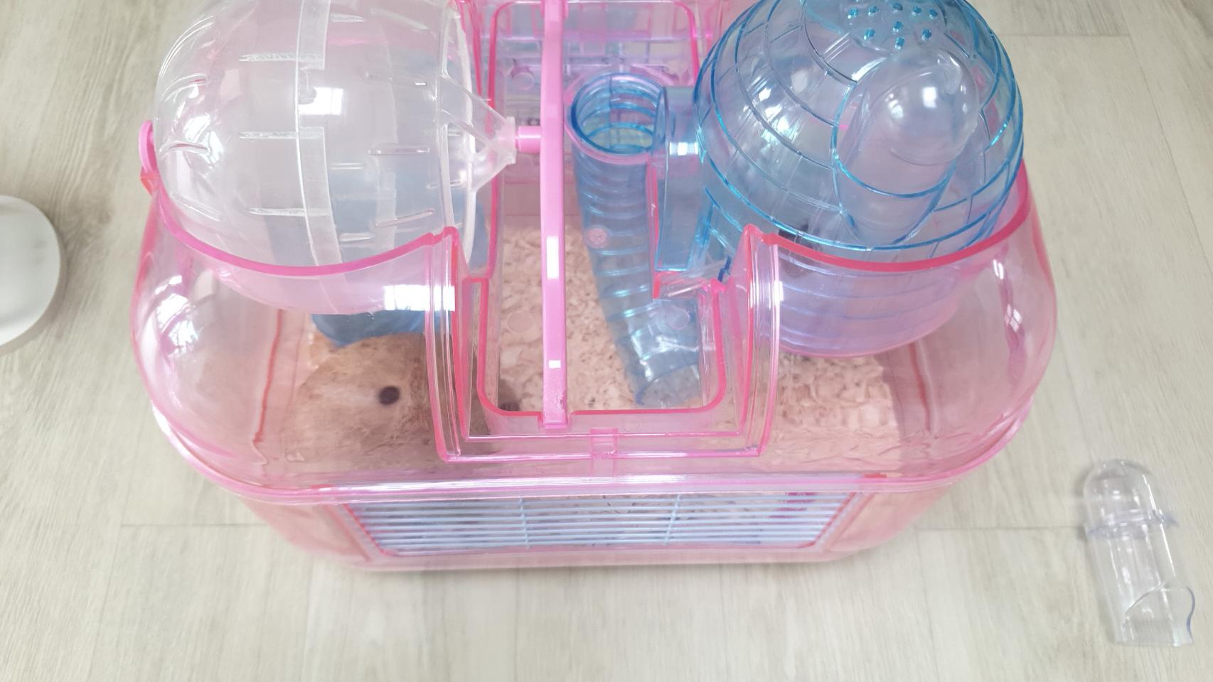 햄스터용품 2층집