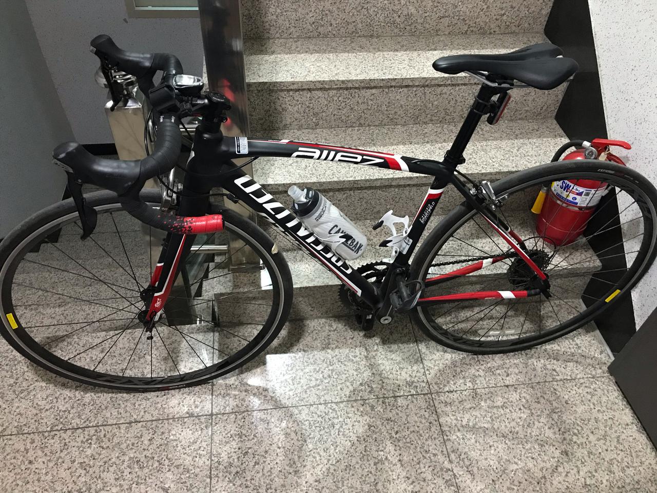 스페셜라이즈드 알레콤프105급 팜(입문용)적합