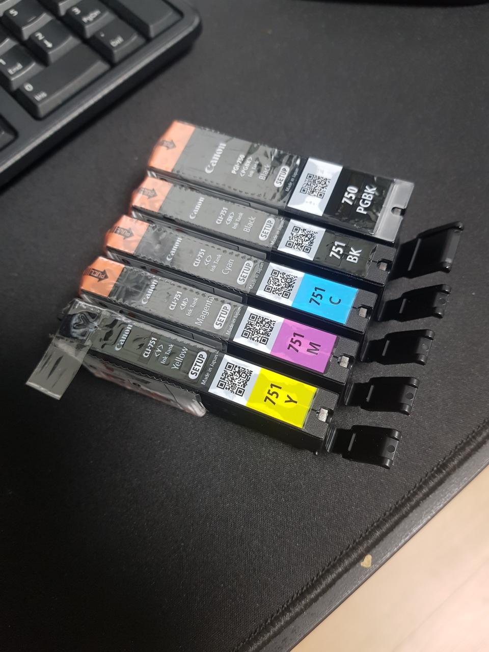 캐논정품잉크 PGI750, CLI751 / 5색