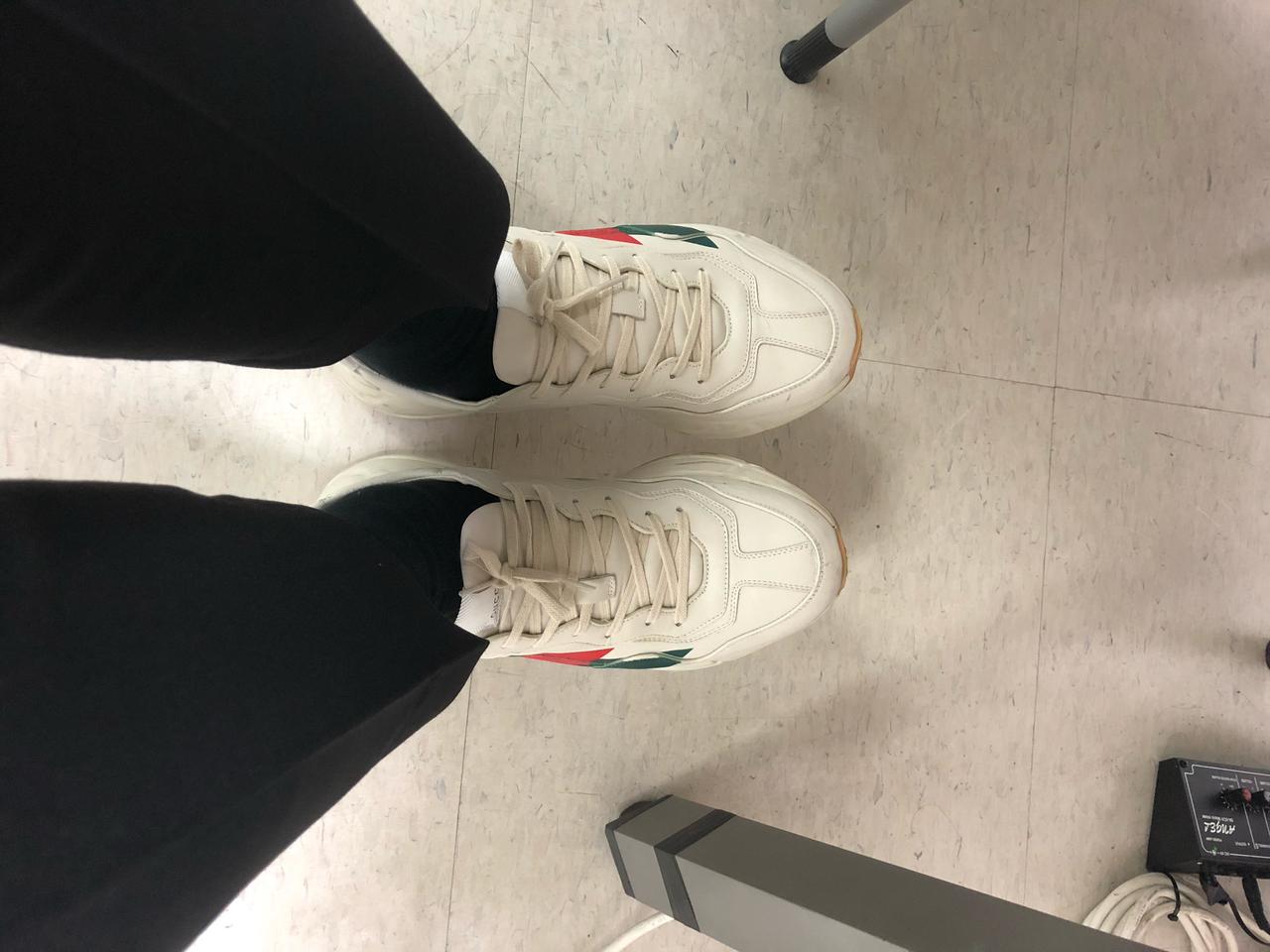 정품 구찌 라이톤 가격인하