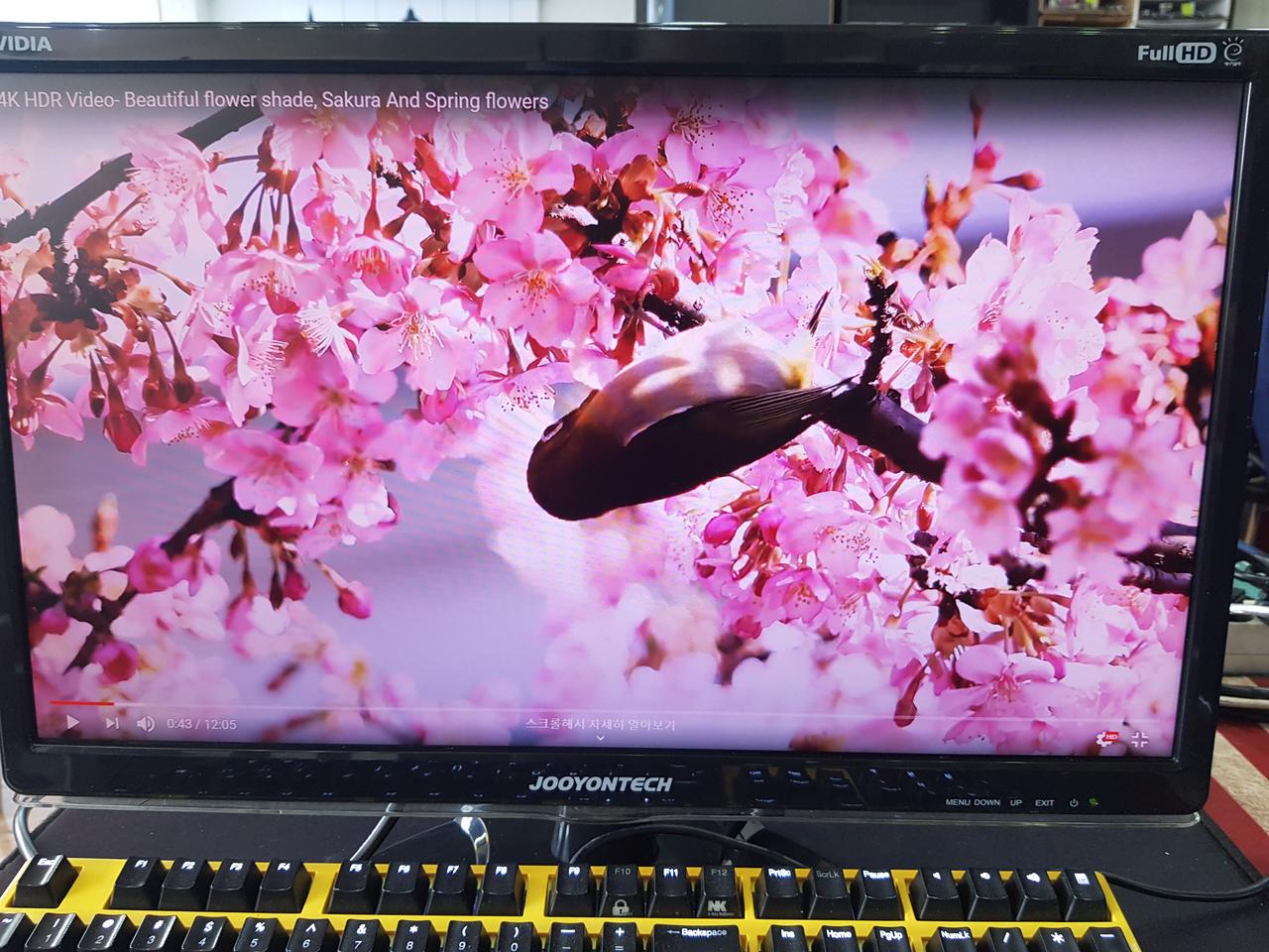 전주 22인치 led모니터(fhd 1920 x 1080)팝니다.