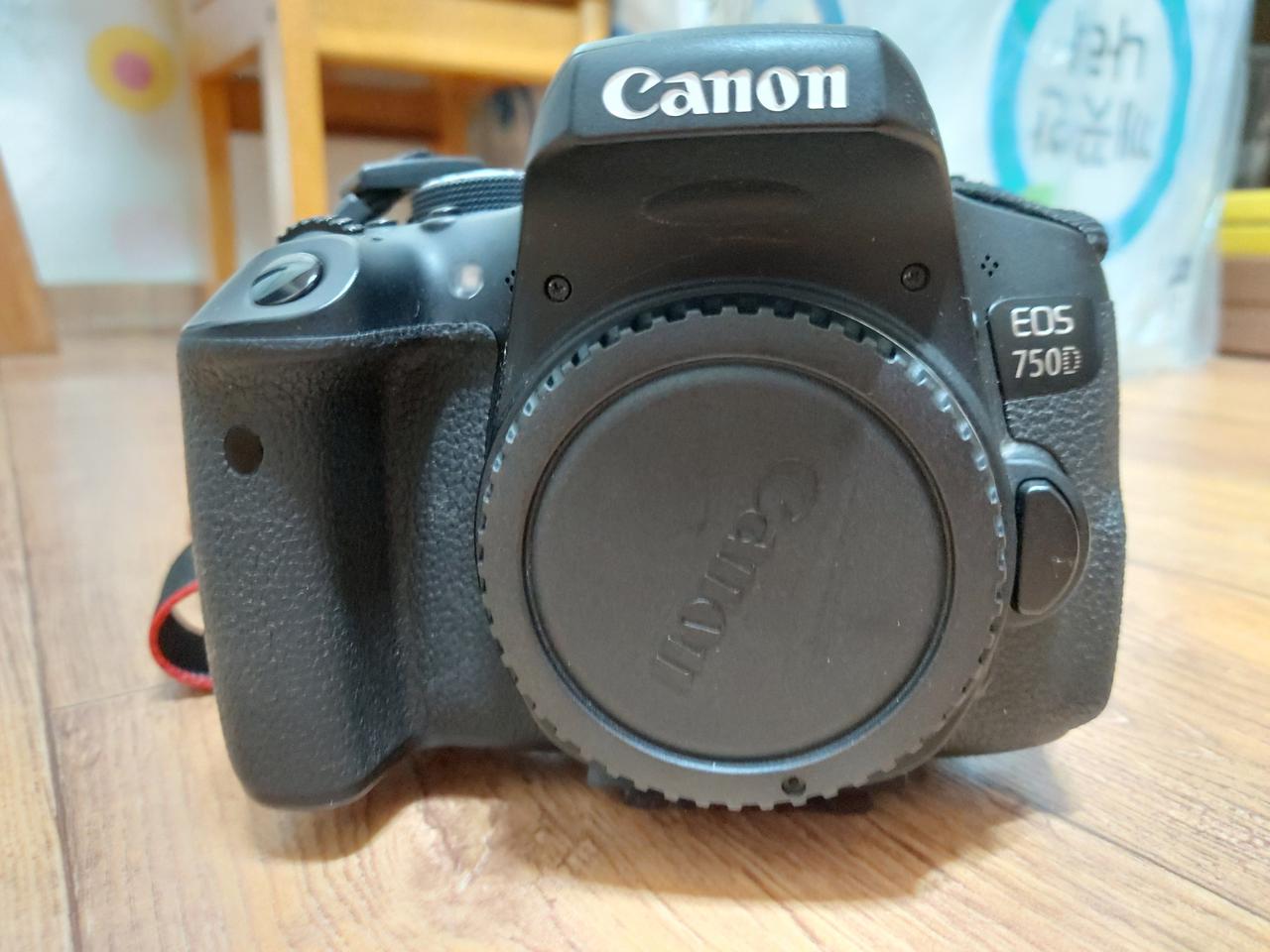 캐논750D /시그마 24-70렌즈