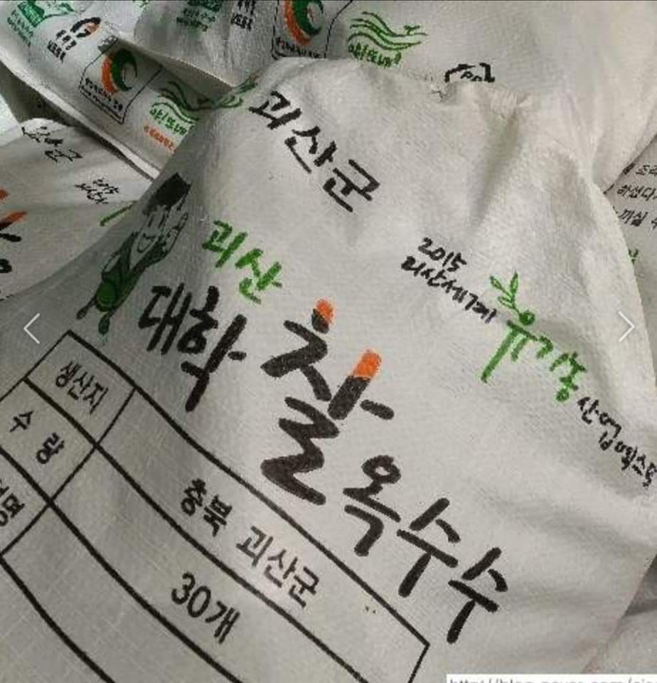 괴산 대학찰옥수수