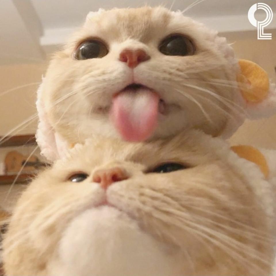 미남입니다님 결제