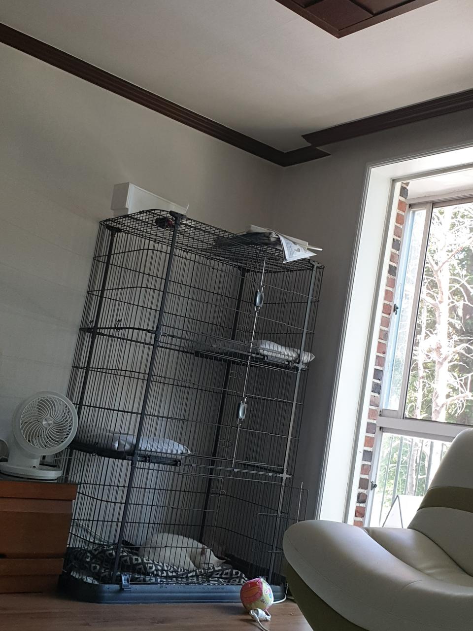 고양이 대형철장