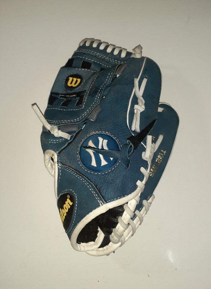 윌슨 야구글러브 A450
