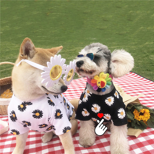 FLOWER 꽃무늬 티셔츠 (W/B) 강아지옷 애견의류 강아지티셔츠