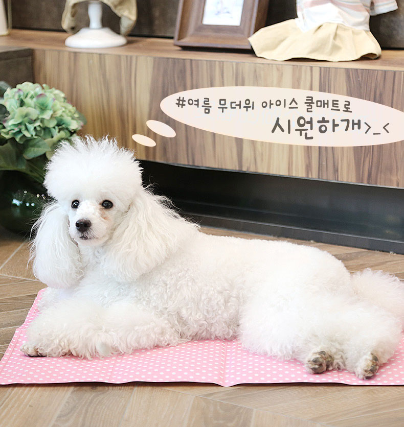 아이스 쿨매트 고양이쿠션 애견쿨방석 강아지여름매트 S,L 강아지쿨매트