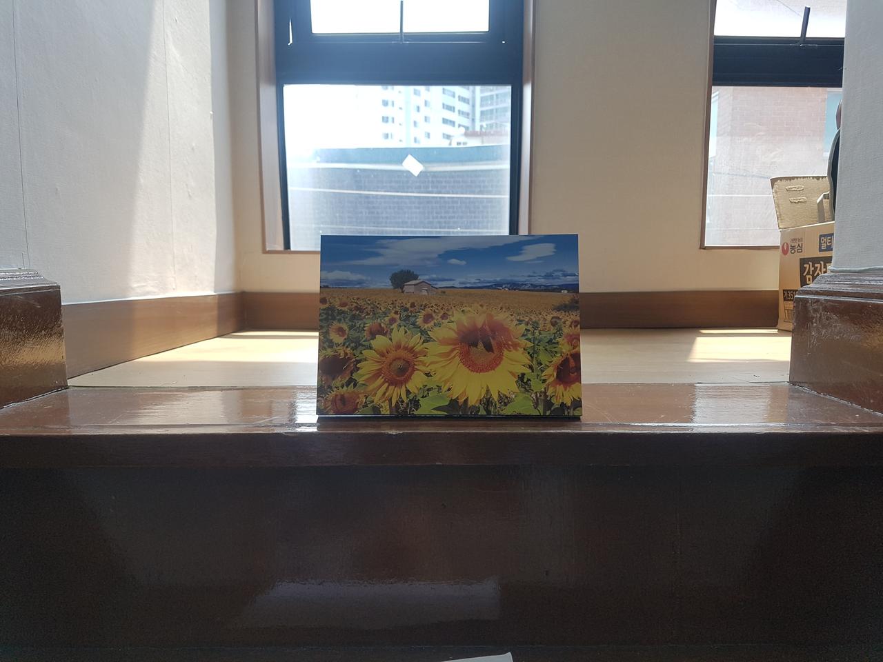복들어오는 해바라기액자