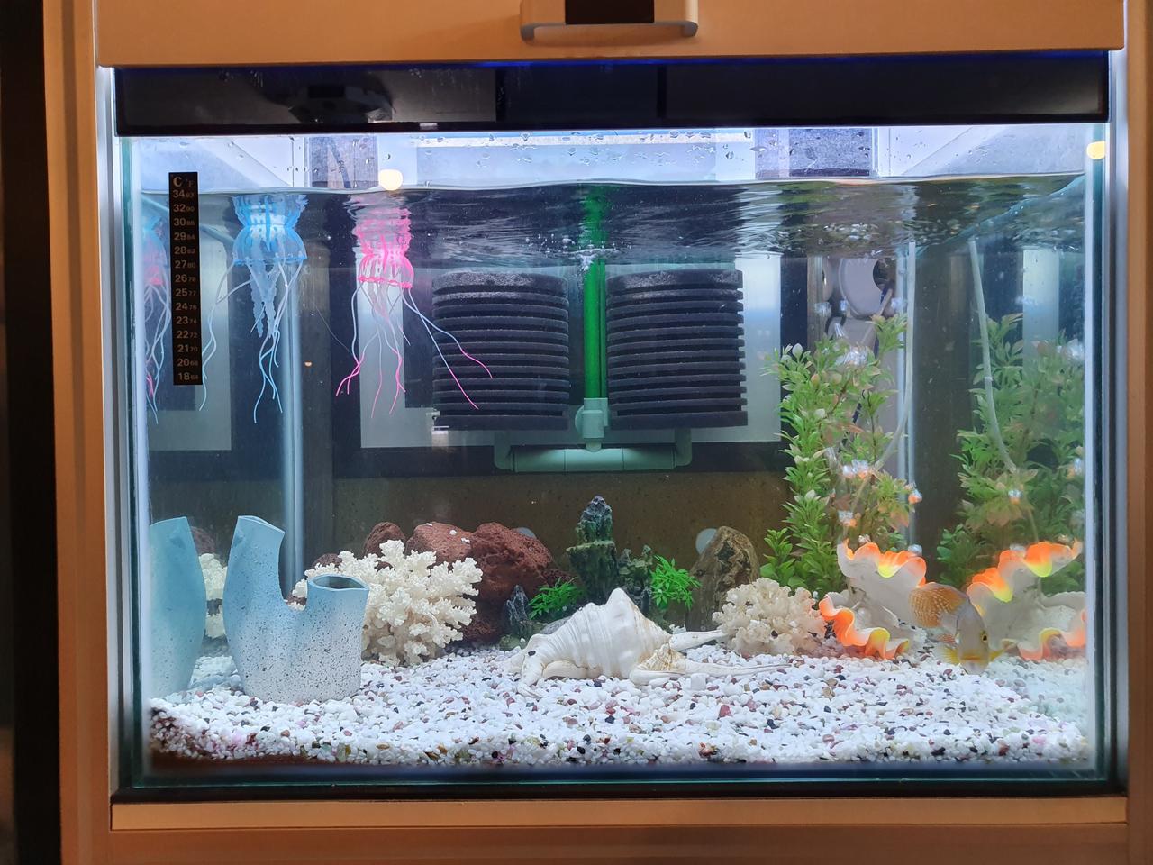 수족관  풀구성