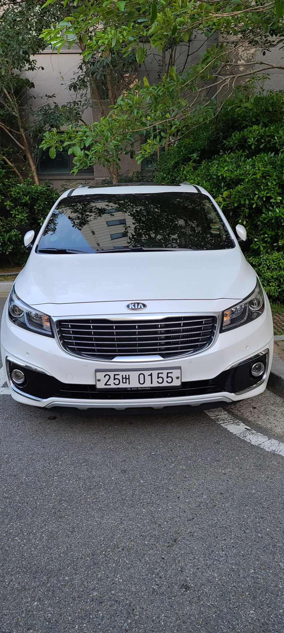 기아 올 뉴 카니발 7인승 디젤 리무진 프레지던트