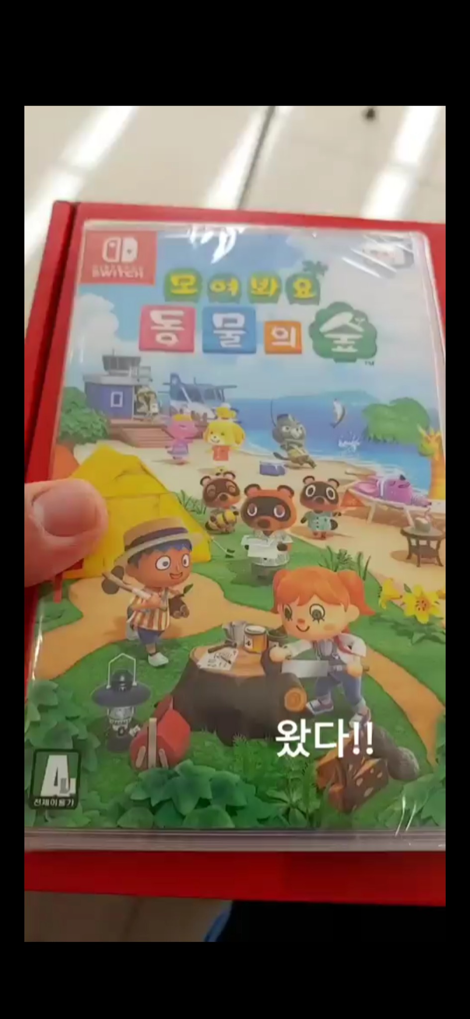 닌텐도 + 게임칩