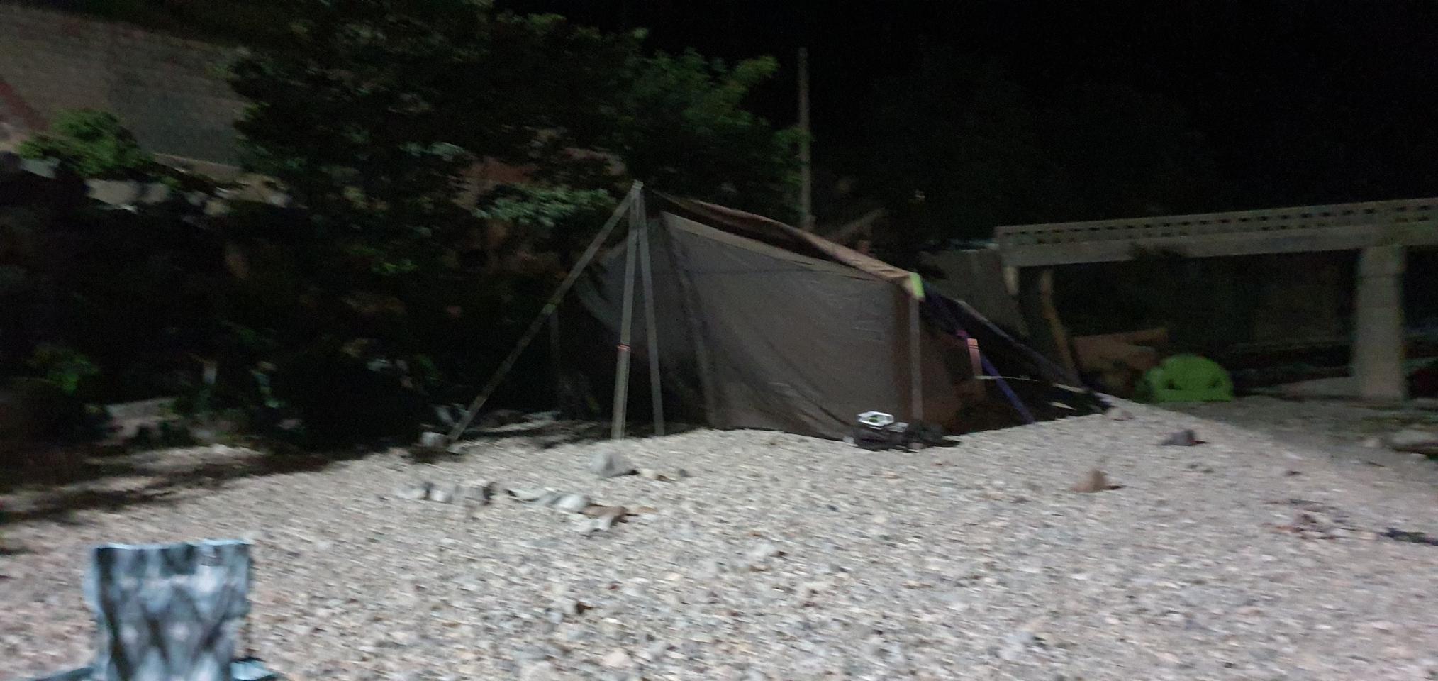 제드 바이슨 타프쉘