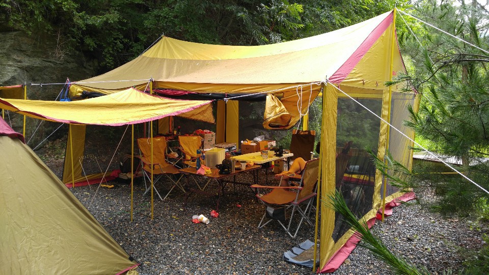 버팔로 겔럭시 타프스크린 판매