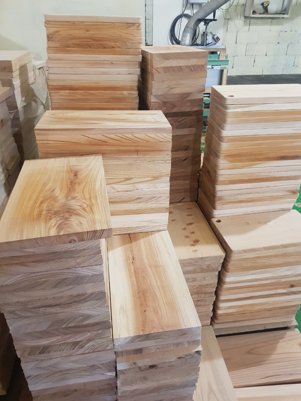 느티 나무 반재