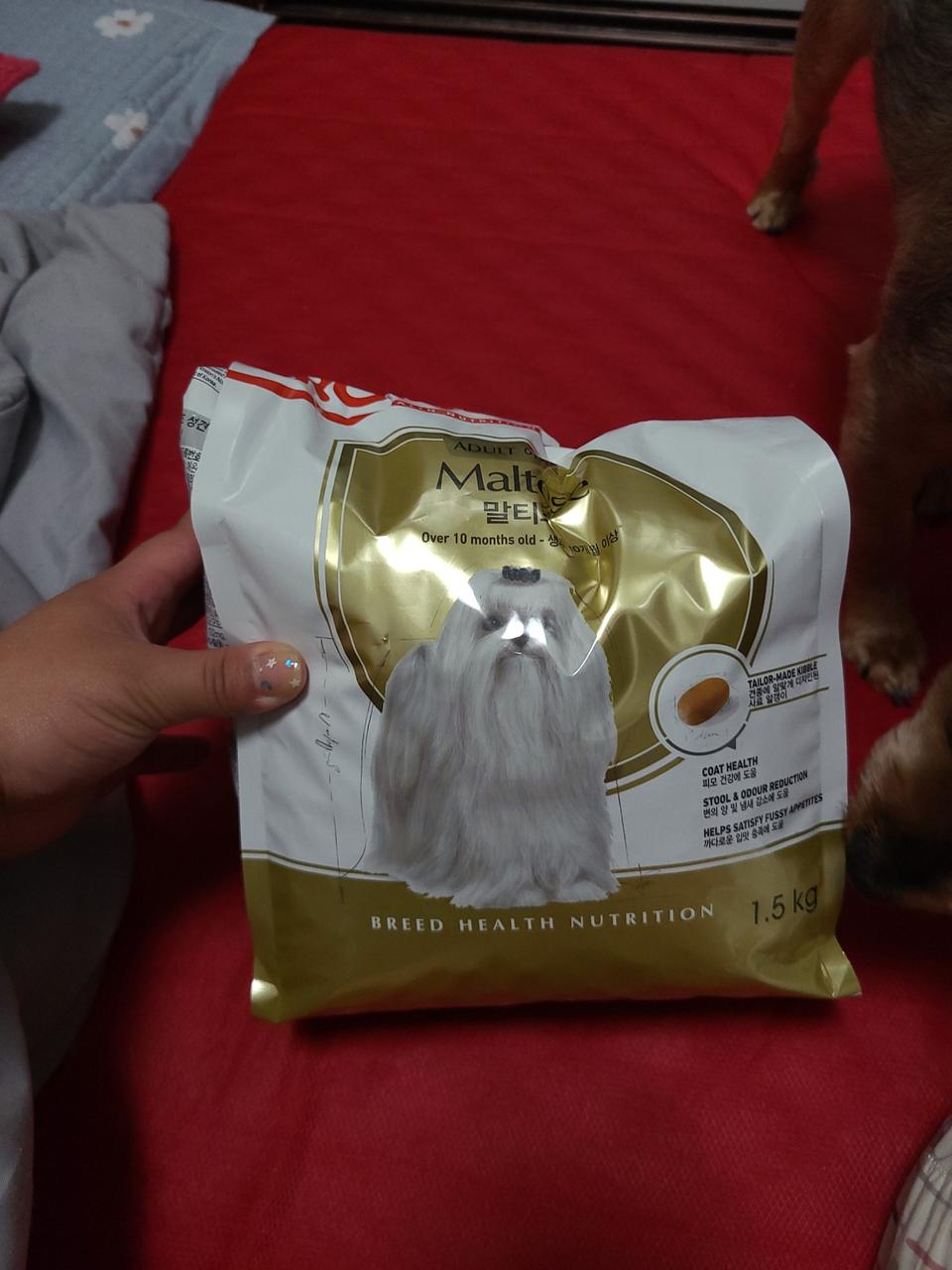 로얄캐닌 말티즈 전용사료 판매합니다