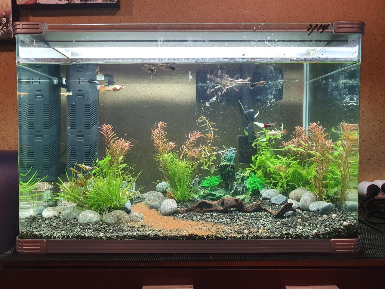 수초어항 풀세트