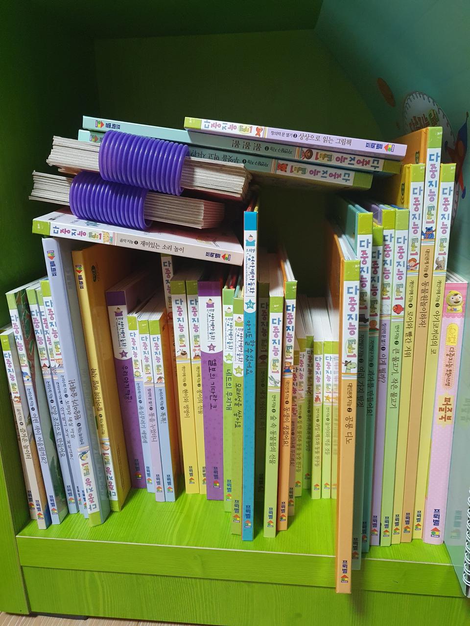 프뢰벨 다중지능