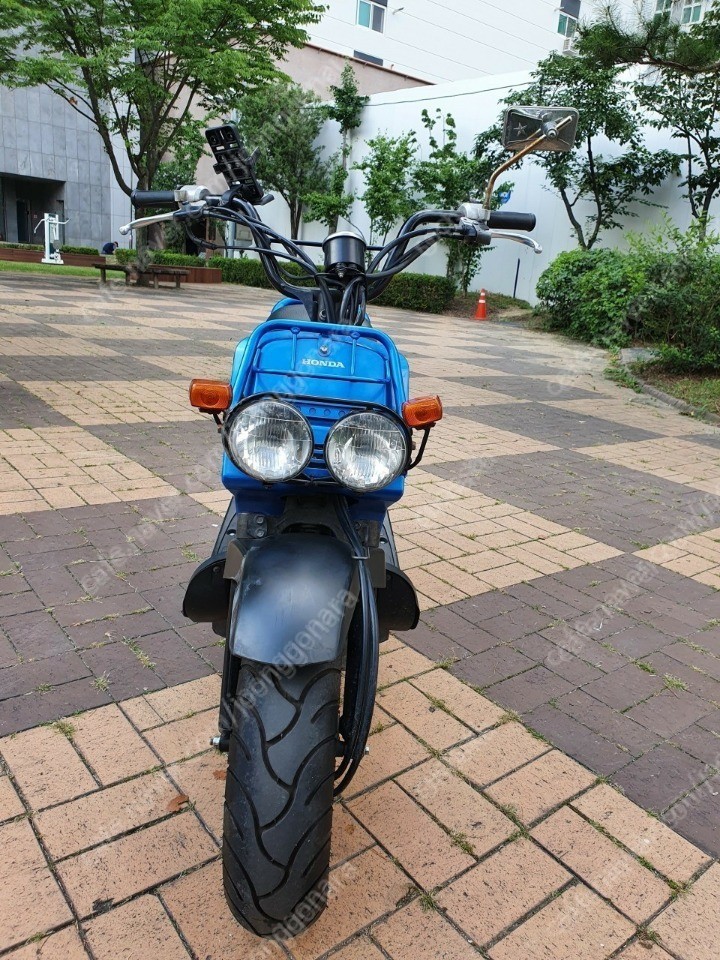 Honda Scooter Zoomer Usato Motorino Zoomer Ruote Motocross Usate