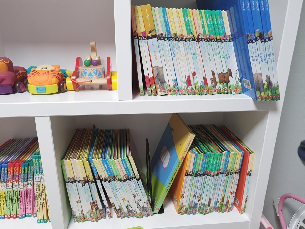 글뿌리 오감톡톡 자연관찰