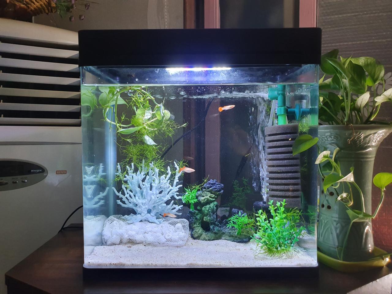 어항용품 풀세트