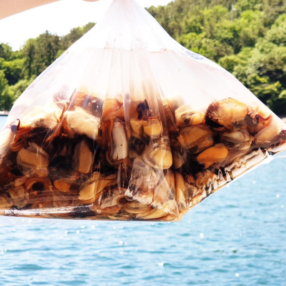 ☀[산지직송] 제철!! 남해안 생물깐홍합 1kg 자숙반건조 자숙완건조 홍