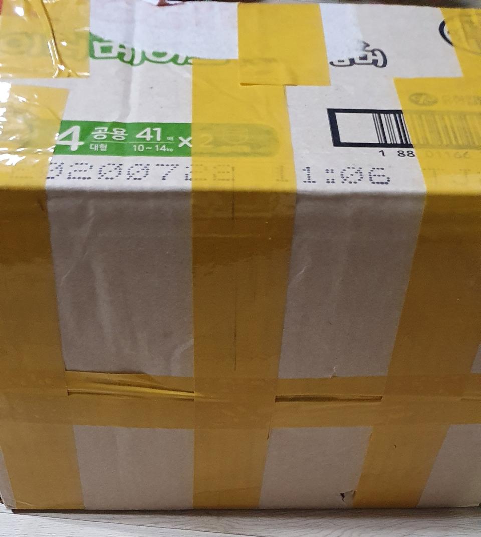 신기한 스쿨버스 코디건등 18권