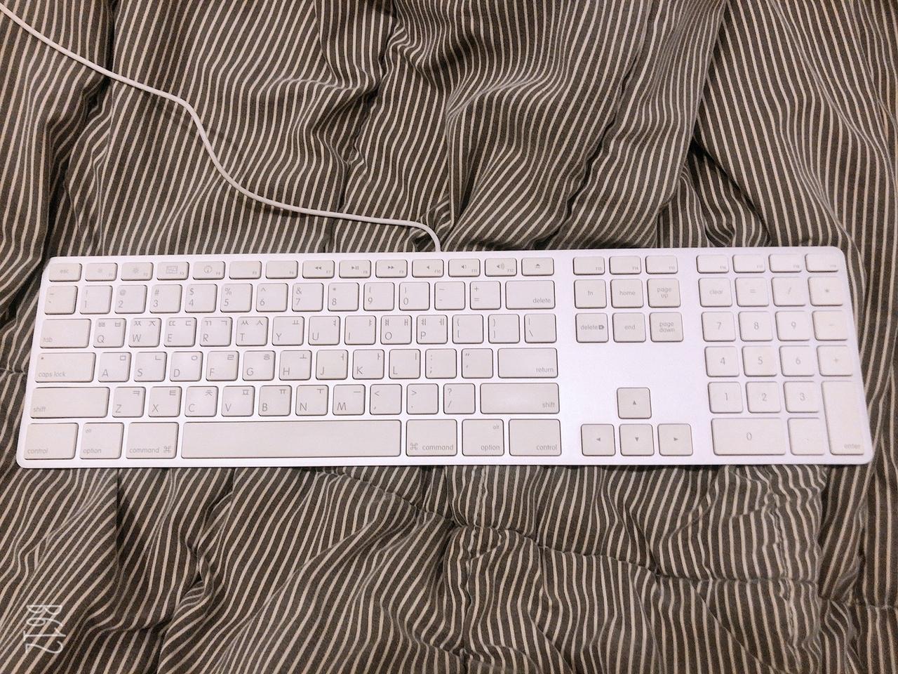 애플키보드 유선 a1243 판매해요