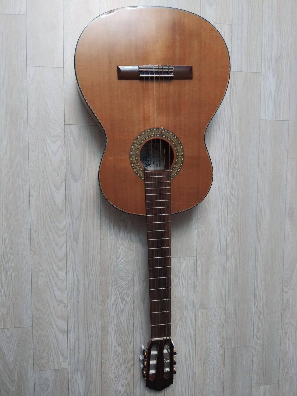 세종 기타 csg-30