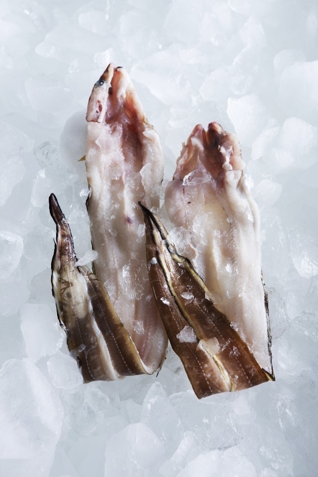 검은돌장어 장어구이 전국택배 무료배송