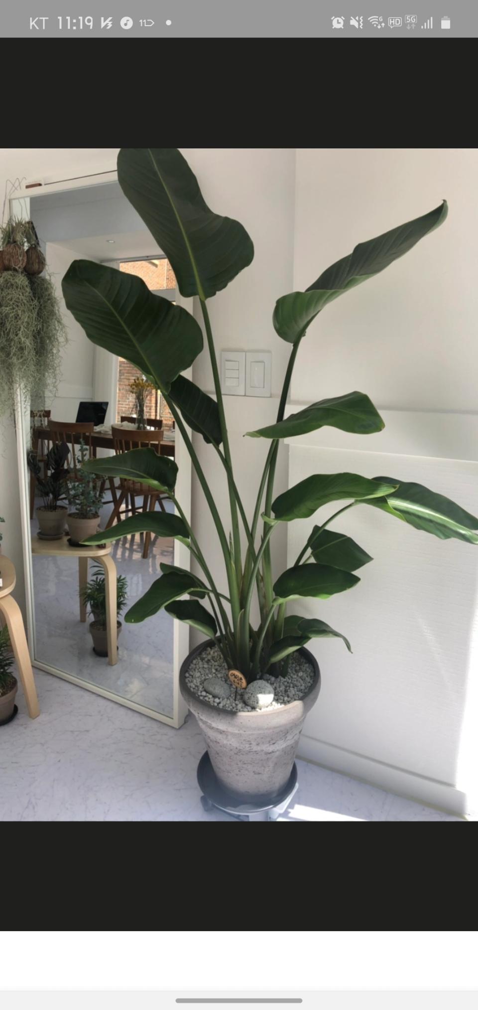 한세트에 액티바이즈추가