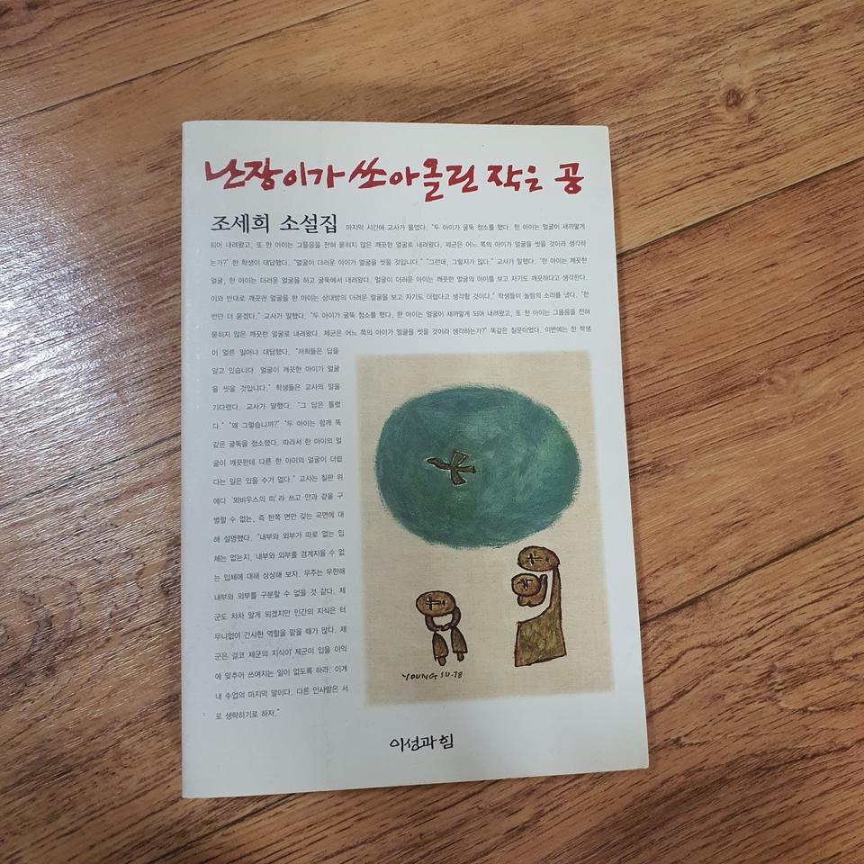 난장이가 쏘인올린 작은 공 (소설책)