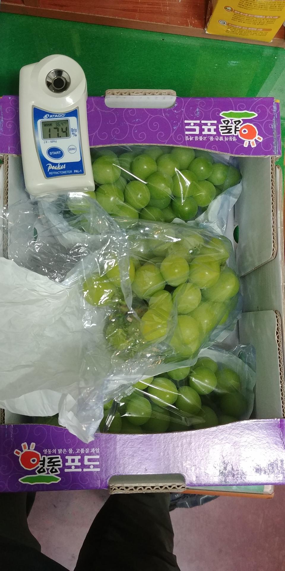 샤인머스켓 2kg 3~4수