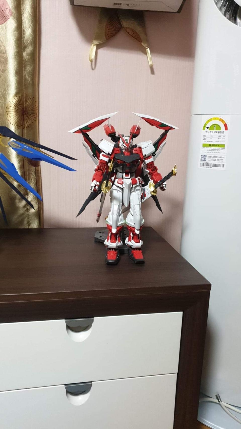 PG아스트레이 레드프레임 한정판 가조립 팜