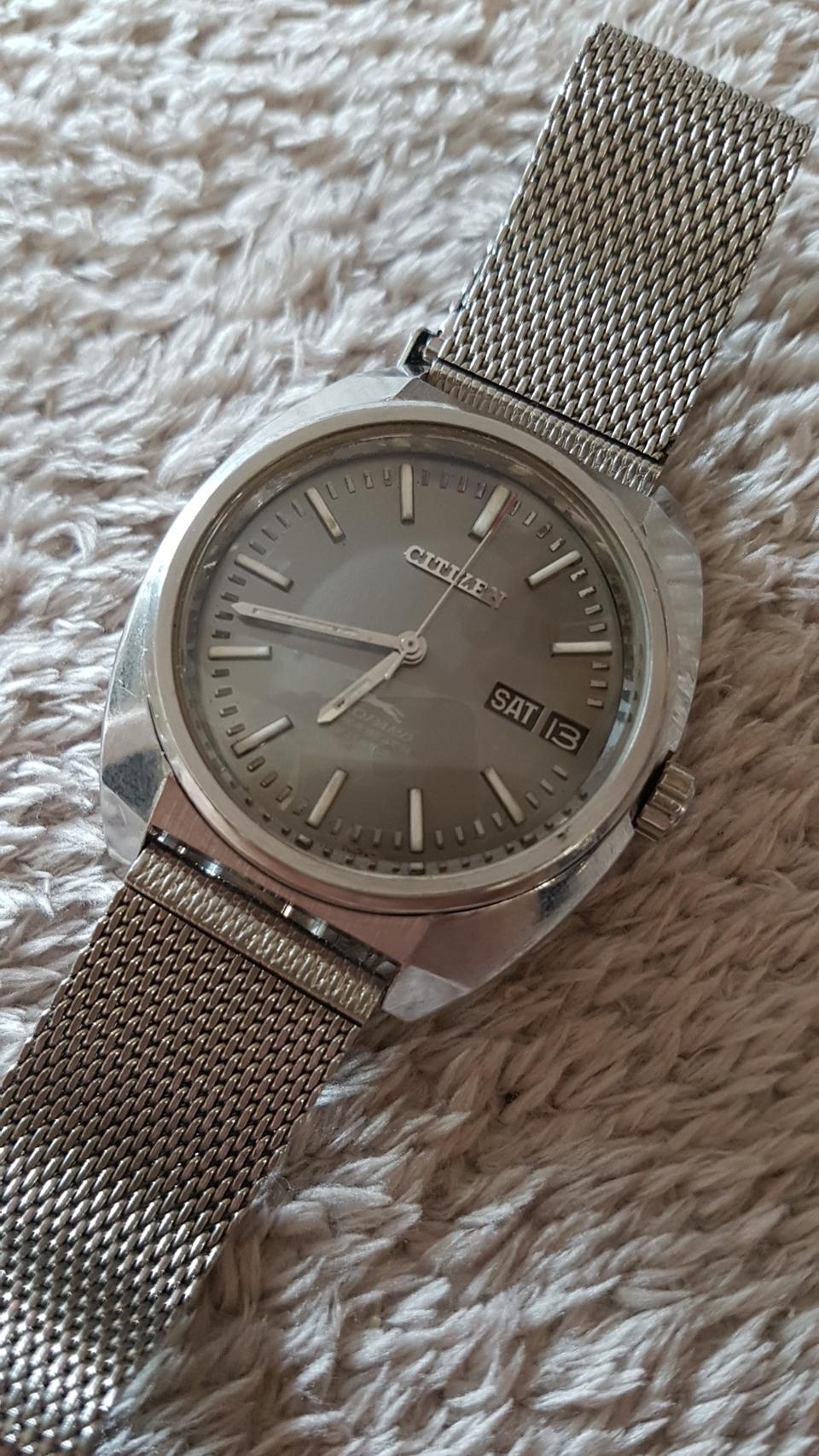 시티즌 레오파드 하이비트 남성 시계