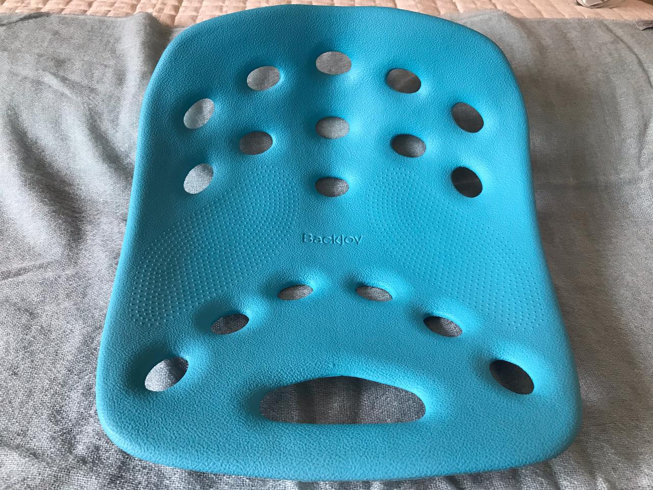 (정품) Backjoy 허리지지대