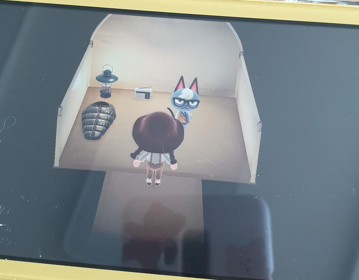 모동숲 잭슨 + 마일티켓 20장 분양