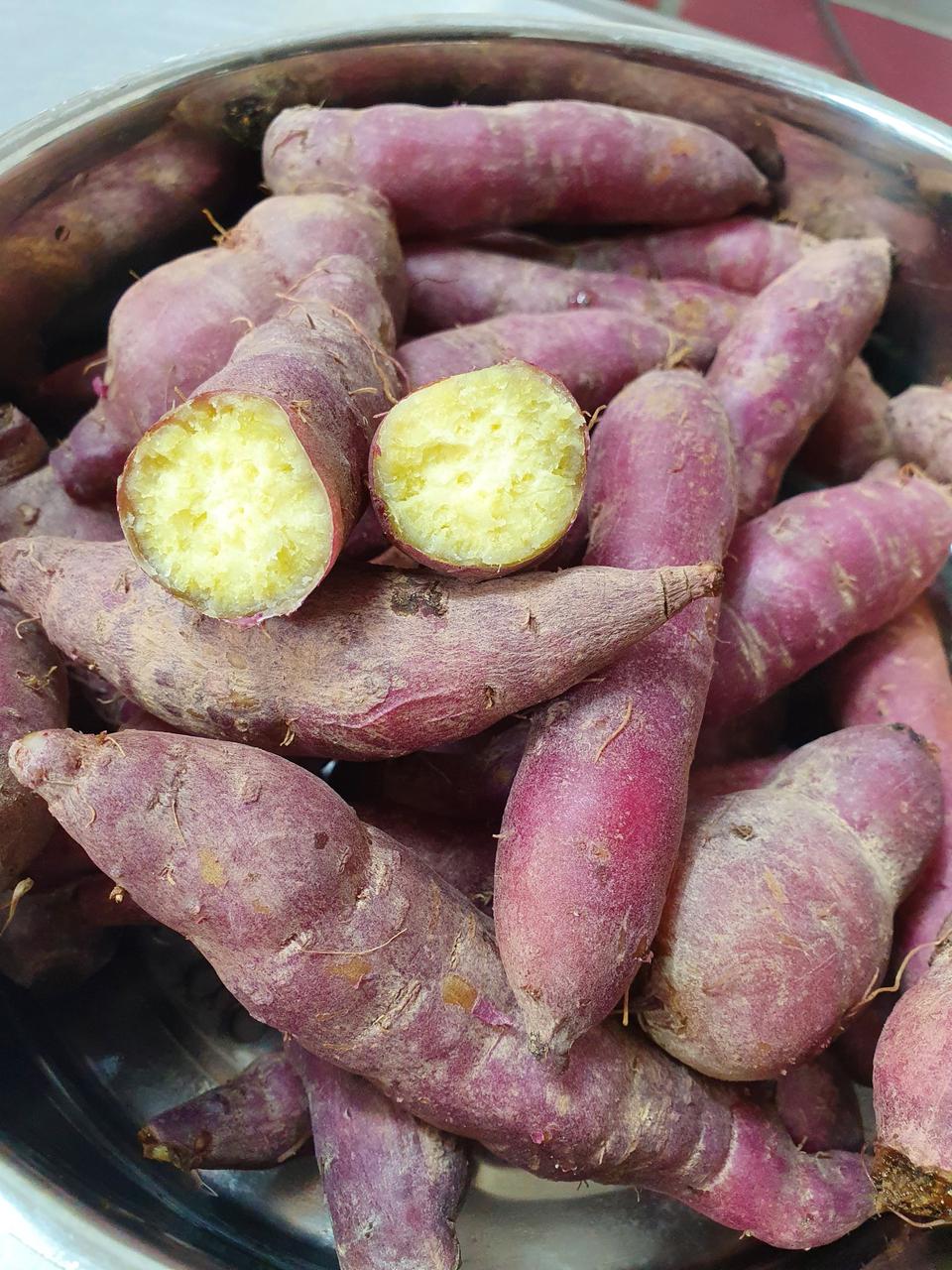 해남 황토고구마 대사이즈 (못난이-얼룩이)