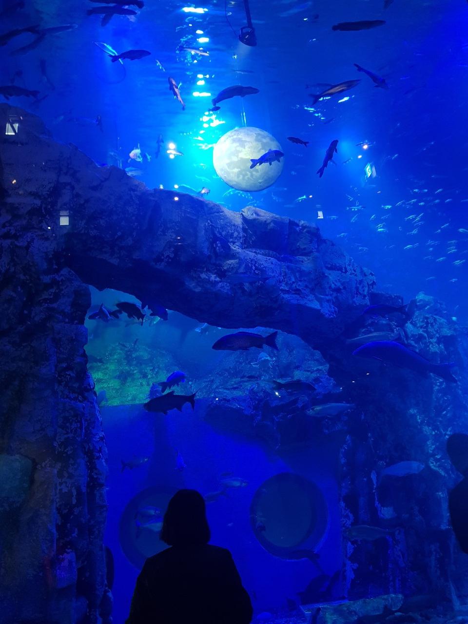 버즈 라이브 삽니다.