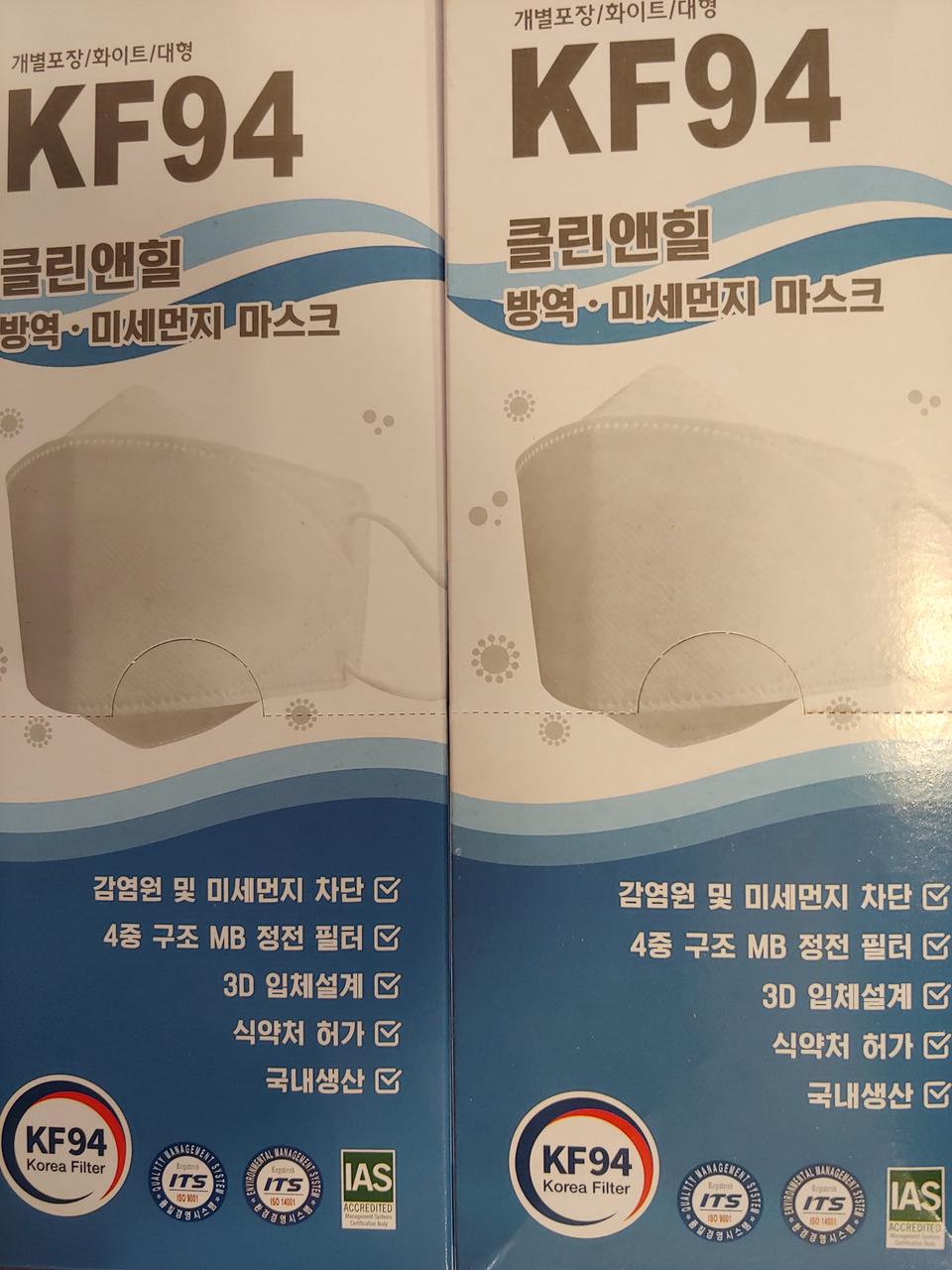 100장국산  푸름 개별포장kf94 대형 kf80