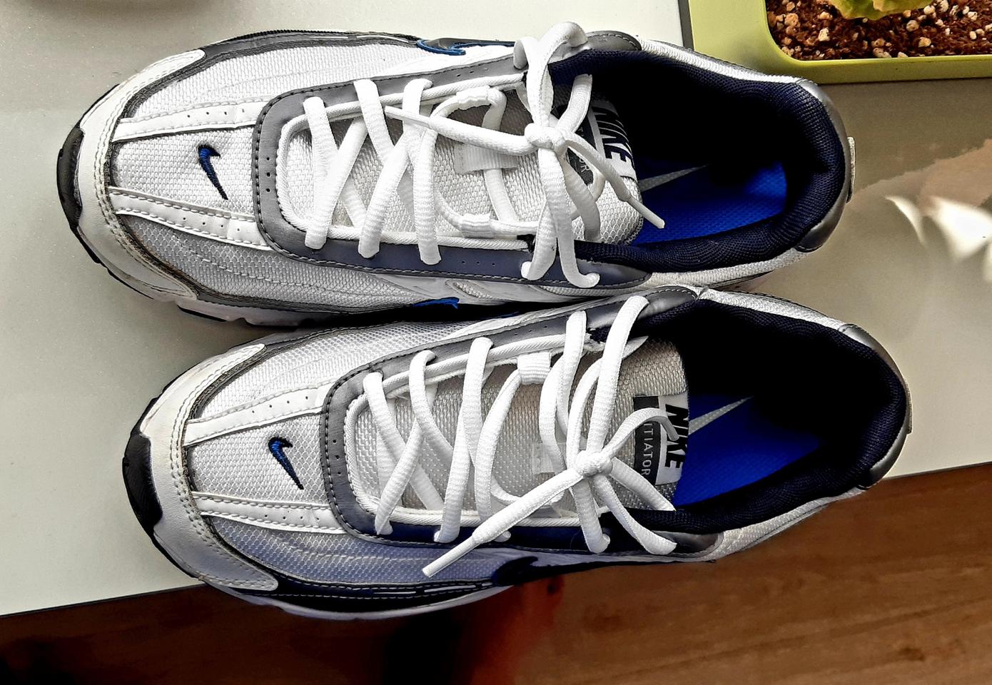 나이키이니시에이터250