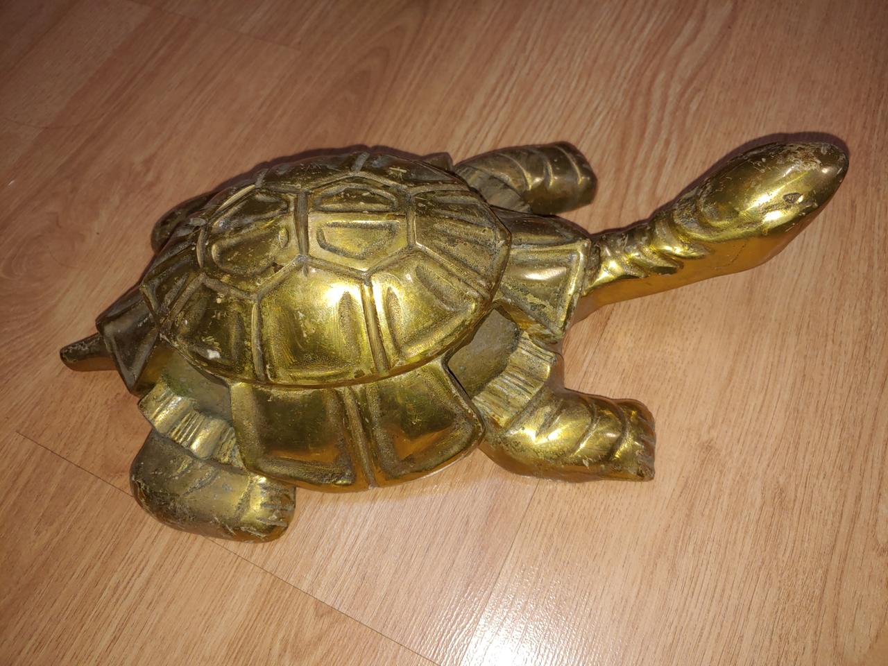 신주.거북이.폭34센치.4키로.아주큼