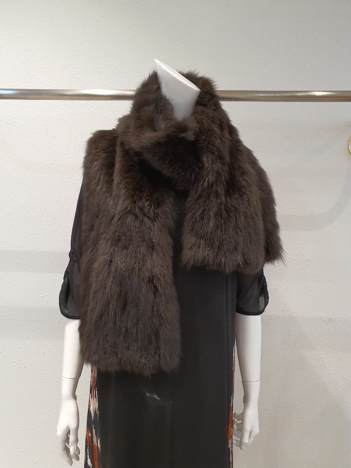 세이블(담비)목돌이