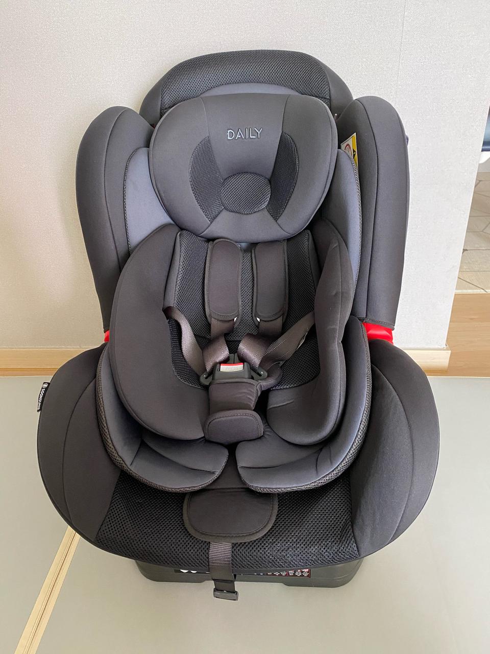 순성 데일리 카시트