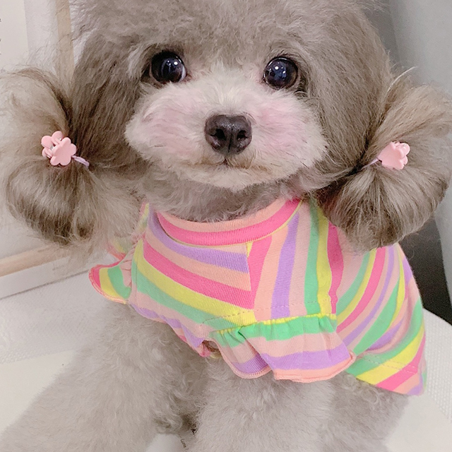 ♥강아지옷 줄무늬 프릴티 2컬러 (새상품)