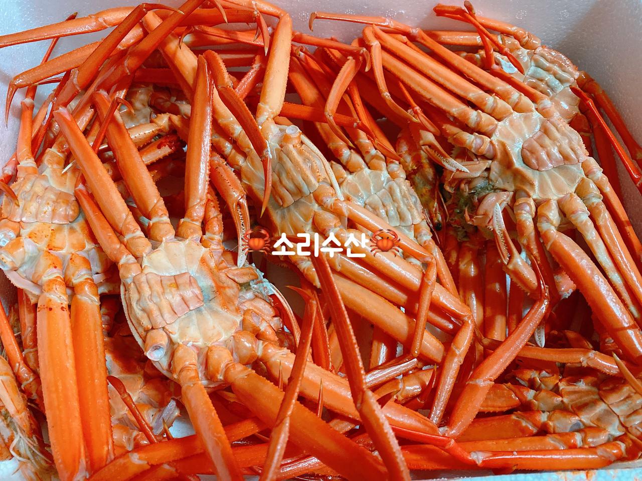 연지홍게 정품 A급 /B급 파지