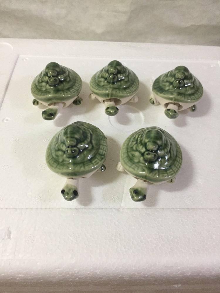 머리 팔 다리가 움직이는 거북조형 5마리 일괄